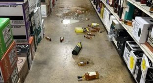 В США енот устроил пьяный дебош в магазине (2 фото)