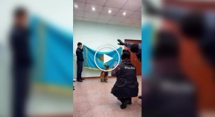 Минутка милоты: в полиции Алматы устроили фотосессию служебных собак