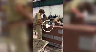 Masons in US organize fairs for schoolchildren to teach them how to build houses