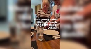 Пенсіонерка думала, що купила формочки для льоду у формі ялинки