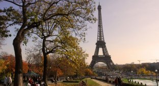 Блогерша показала, какую квартиру можно снять в Париже за 550 евро (3 фото)