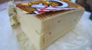 Самые необычные сорта сыра (8 фото)