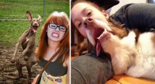 12 impudent dogs who don’t give a damn about your selfies (13 photos)