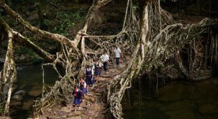 25 самых опасных дорог в школу (26 фото)