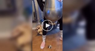 A Woman Shakes Her Cat Out of a Vase