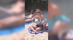 A monkey robbed a tourist on the beach