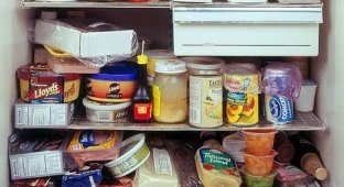 Забитые холодильники (22 фотографии)