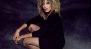 Tina Turner (7 фотографий)