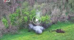 Воины 5-й ОШБр поразили позиции пехоты противника: укрепленные точки были уничтожены точными ударами дронов