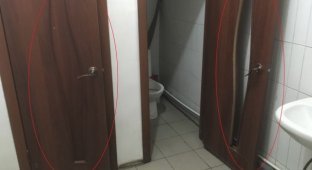 Туалет для интроверта и экстраверта (3 фото)