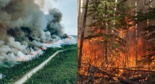 In Canada, entire villages are urgently evacuated due to serious fires (3 photos + 1 video)