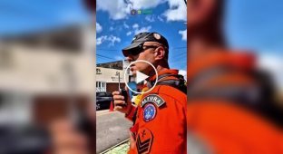 Неумелого похитителя проводов пришлось спасать с высоты