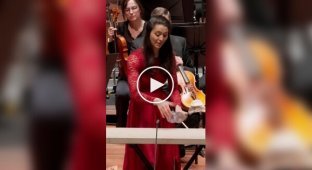 Концерт для бутылок с оркестром