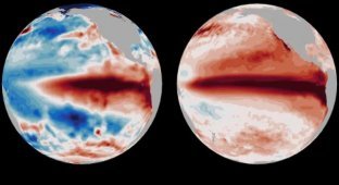 El Niño Could Trigger One of the Most Serious Climate Changes in the Past Eighteen Months