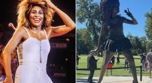 Провал  со статуей Тины Тернер: в соцсетях возмутились испорченным  памятником легенде за $150 тысяч (3 фото + 1 видео)