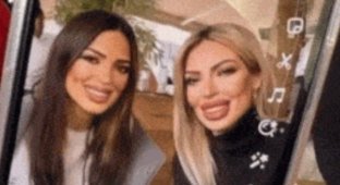 Cool gifs. Issue 2759 (100 GIFs)