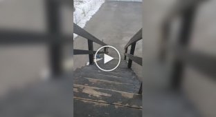 Суровый пес и лестница