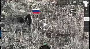 РФ бросает раненых оккупантов в штурмы на Покровском направлении