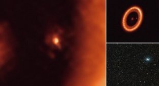 Астрономы нашли в глубоком космосе рождающуюся луну (9 фото + 1 видео)