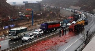 Тонны соуса чили на дороге из-за аварии грузовика (6 фото)