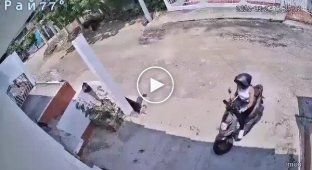 Girl fought off two armed robbers