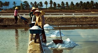 Как добывают соль во Вьетнаме (11 фото)