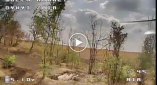 Fighters of the Presidential Brigade destroy the enemy with Wild Hornets drones