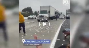 В пятницу вечером на шоссе возле Сан-Диего из инкассаторской машины выпала сумка с деньгами