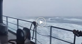 After such a video, not everyone will risk going to sea on a ship.