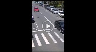 The dog, crossing the road, helped the motorcyclist to get on the roof of the car in Brazil