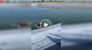 Wild boar attacks men ...in a boat during a ride on the water