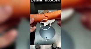 Carrot repair