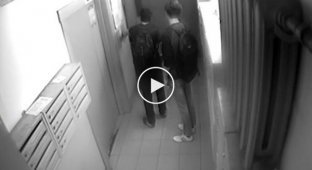 В Ярославле собаку чуть не задушило поводком, зажатым дверьми лифта