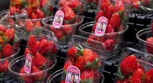 Why do the Japanese need luxury fruits (8 photos)