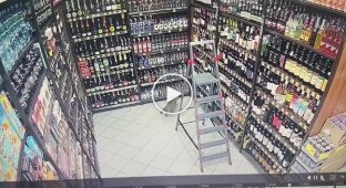 A cat caused mayhem in a liquor store