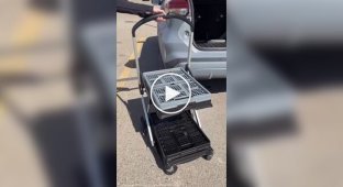 Folding cart for car