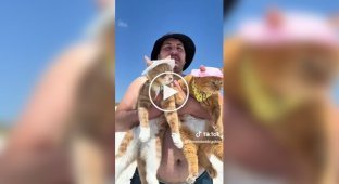 Cats in hats visited the beach for the first time and saw the sea