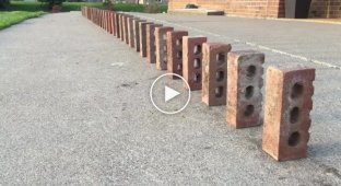 Double domino effect