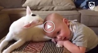 The baby grabbed the cat by the paws, and she began to lick the baby