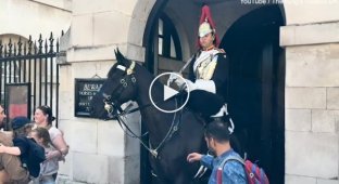 The royal guard yelled at the insolent tourist
