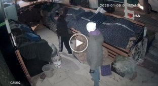 Нічні любителі цибулі