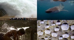 Всемирный день воды 2012 (48 фото)
