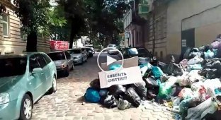 Как во Львове используя мусор перекрыли улицу Бандеры