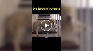 A sad story of one step