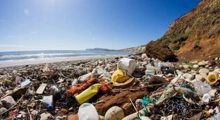 Пластиковые пляжи Великобритании (9 фото)