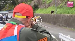 В Японии прошли учения на случай выхода медведей к населенным пунктам