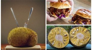 Что такое джекфрут и с чем его едят в Великобритании (8 фото)