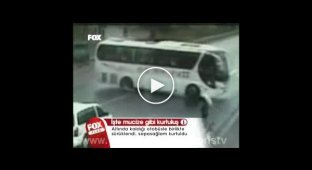 Страна счастливчиков, автобус сбил пешехода