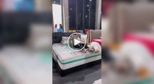 Китайский матрас для повышения рождаемости