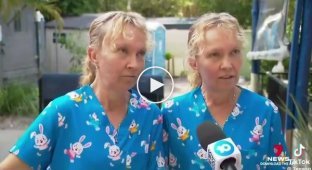 Twin sisters from Australia became heroes of social networks due to speech synchronization